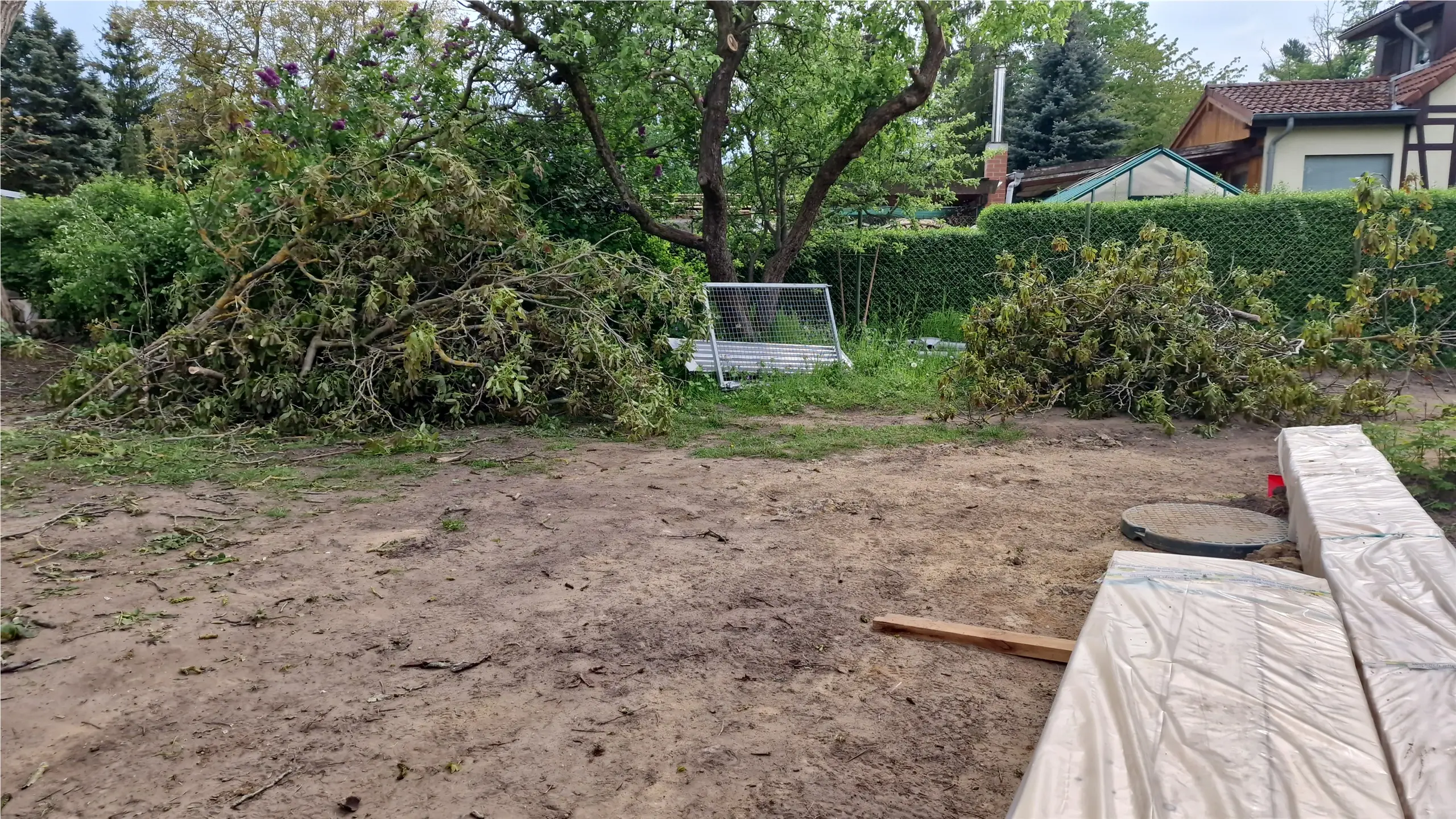 Gesammelte Äste und Zweige nach dem Rückschnitt eines Baumes